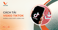 Cách tải Video Tiktok không logo chất lượng cao – hướng dẫn chi tiết từ A–Z