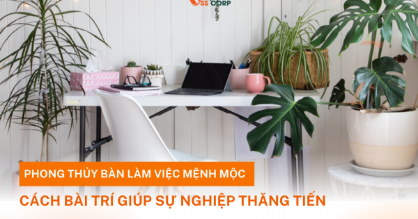 Phong thủy bàn làm việc mệnh Mộc – Cách bài trí giúp sự nghiệp thăng tiến