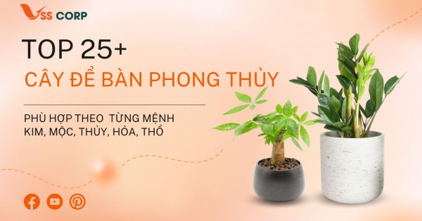 Top 25+ cây phong thủy để bàn làm việc hợp mệnh 2025